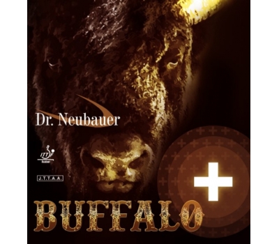 Dr Neubauer Buffalo +